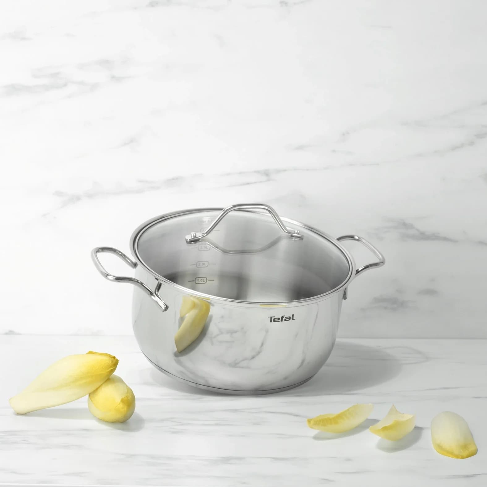 Кастрюля Tefal Intuition B8644674 5л. d=24см (с крышкой) серебристый