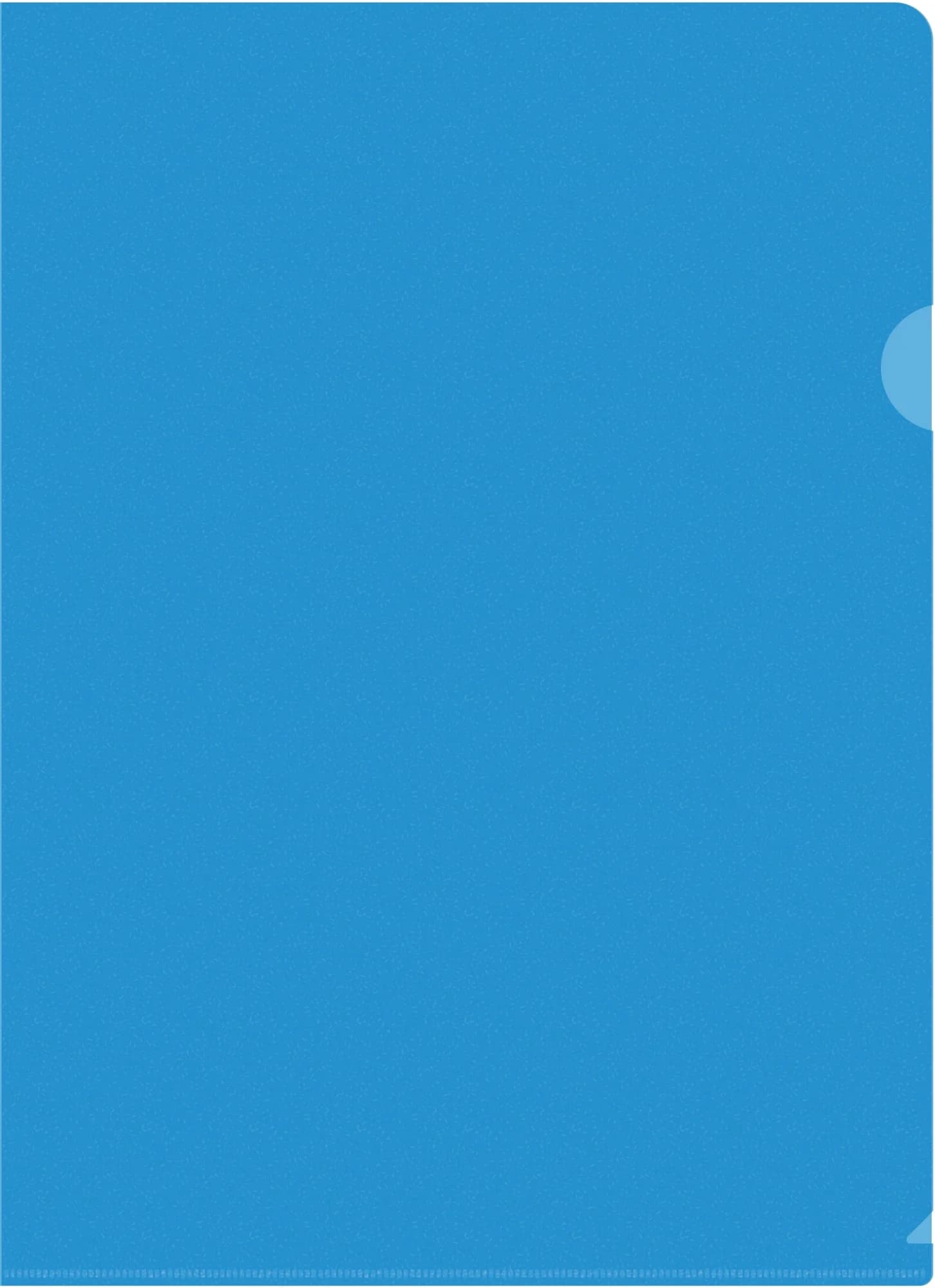 Папка-уголок Silwerhof SE-E120/BLU тисненый A4 пластик 0.12мм синий