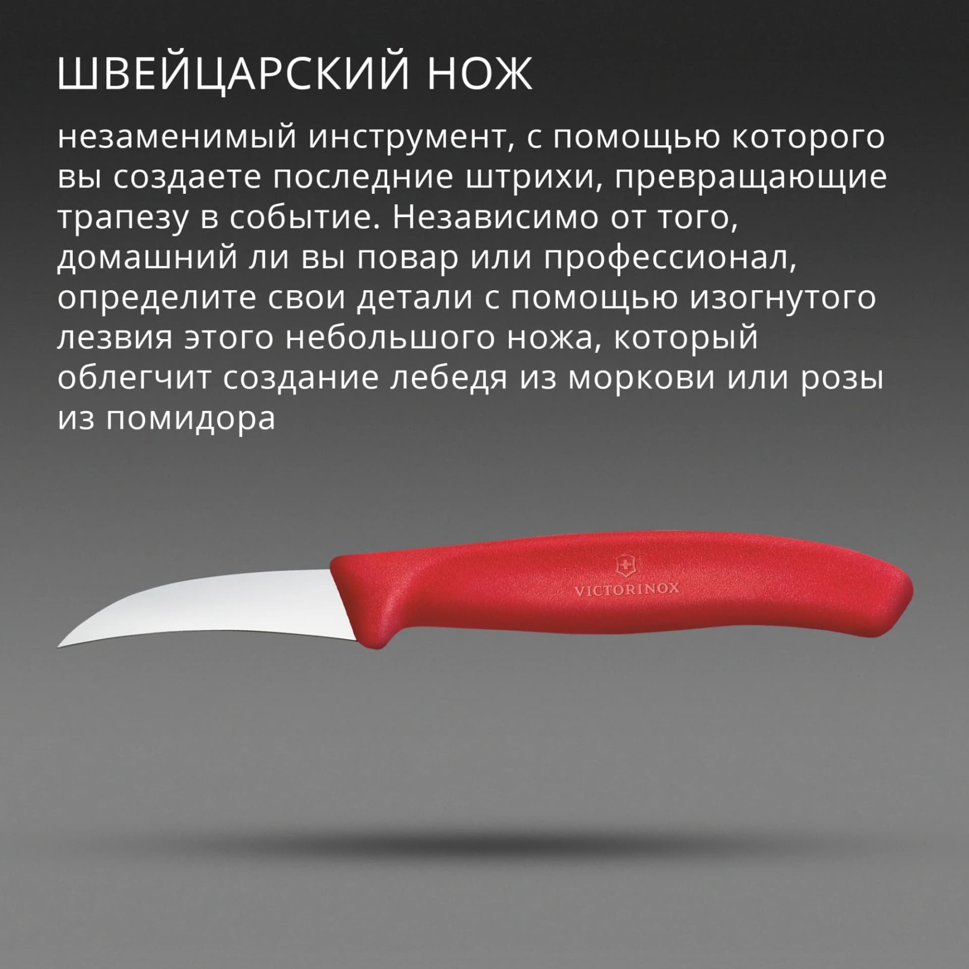 Нож кухонный Victorinox Swiss Classic (6.7501.C1) стальной для формовки лезв.60мм прямая заточка красный