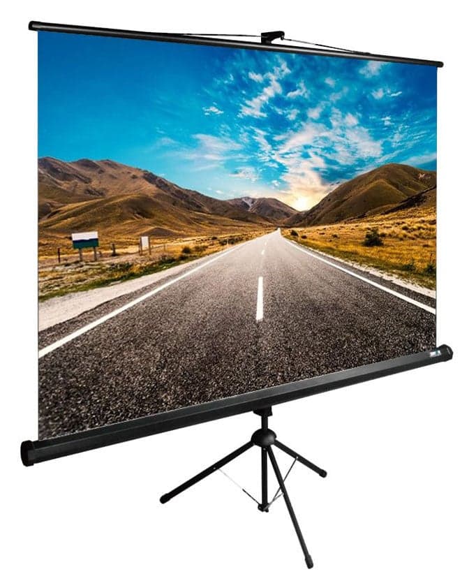 Cactus Экран CS-PSTE-160x160-BK напольный рулонный 160x160см 1:1 черный