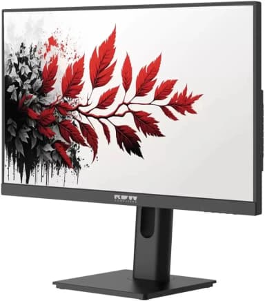 27" RDW Computers RDW2701K черный (2560x1440, 100Hz, IPS, 1ms, 1000:1, 350cd, HDMI, DP) РОССИЯ МПТ