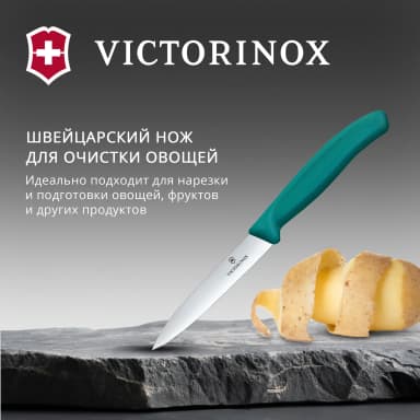 Нож кухонный Victorinox Swiss Classic (6.7704.C1) стальной универсальный для чистки овощей и фруктов лезв.100мм прямая заточка зеленый