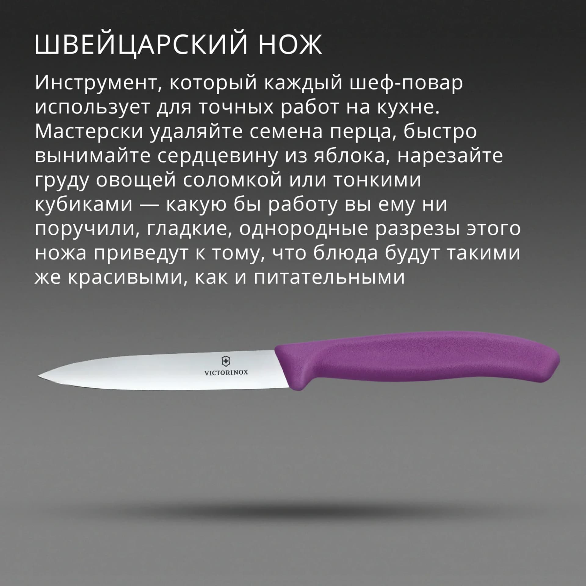 Нож кухонный Victorinox Swiss Classic (6.7705.C1) для овощей лезв. 100 мм прямая заточка пурпурный
